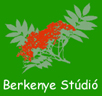 BerkenyeSt�di�